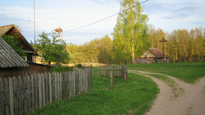Dubininkas01.jpg