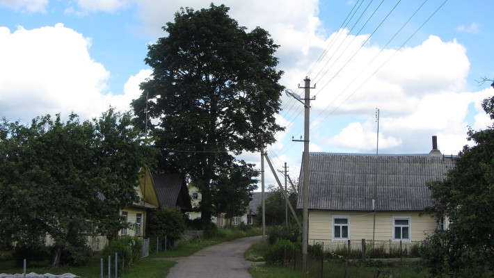 karkline.jpg