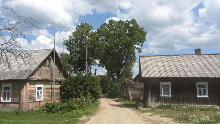 meziunai2.jpg