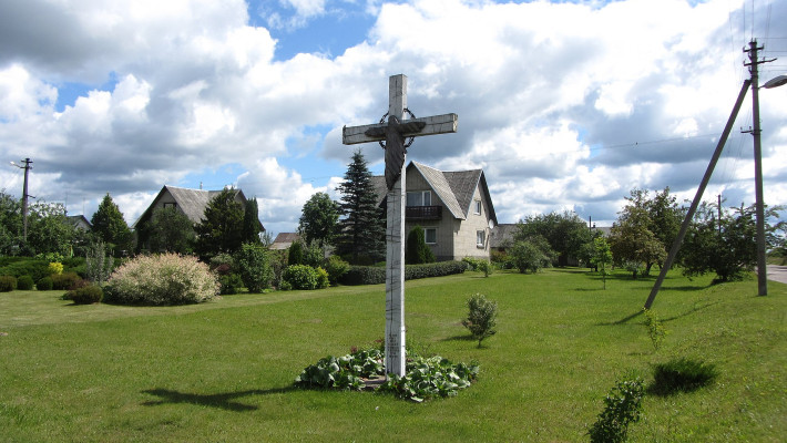 vidutine02.jpg