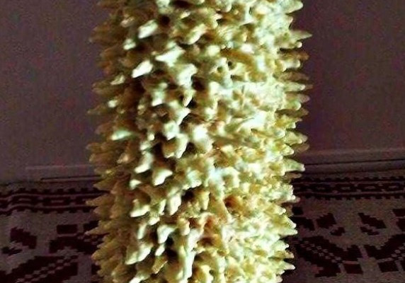V Vaitulioniene (meistre) 2.jpg